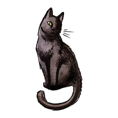 Bild einer Katze