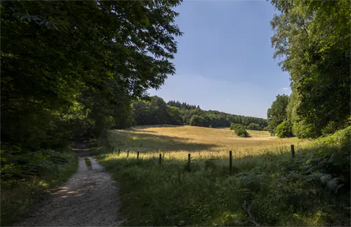 Ein Blick über die Elysäischen Felder zwischen Beek & Berg en Dal